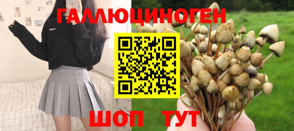 Псилоцибиновые грибы Psilocybine cubensis  Вход с VPN  Псилоцибиновые грибы Psilocybe  Железногорск 