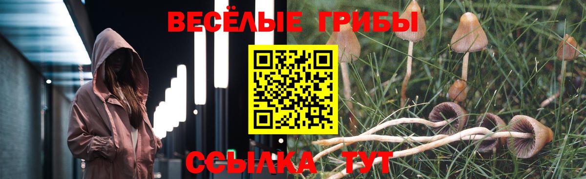 Псилоцибиновые грибы Cubensis Железногорск